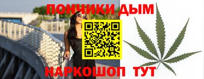 индика Ярославль