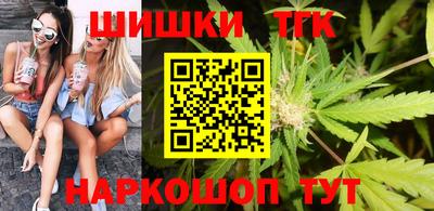 индика Ярославль