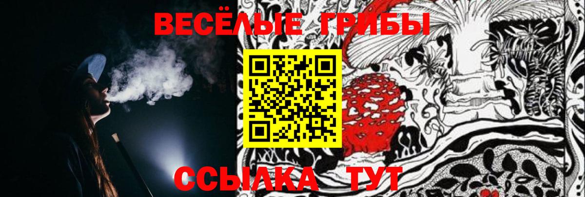 Галлюциногенные грибы прущие грибы Выкса