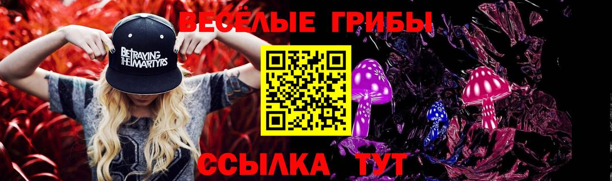 Галлюциногенные грибы прущие грибы  Галлюциногенные грибы Magic Shrooms  где можно купить наркотик  Вход с VPN  Выкса 